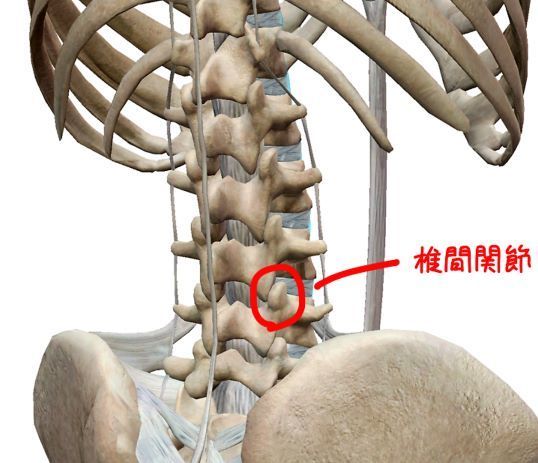 高槻　腰痛　仙腸関節性