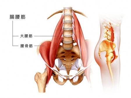 高槻　腰痛　筋肉　筋膜