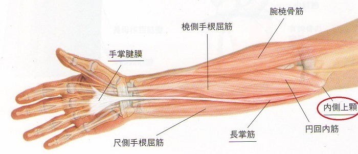 高槻　ゴルフ肘　野球肘　肘の痛み