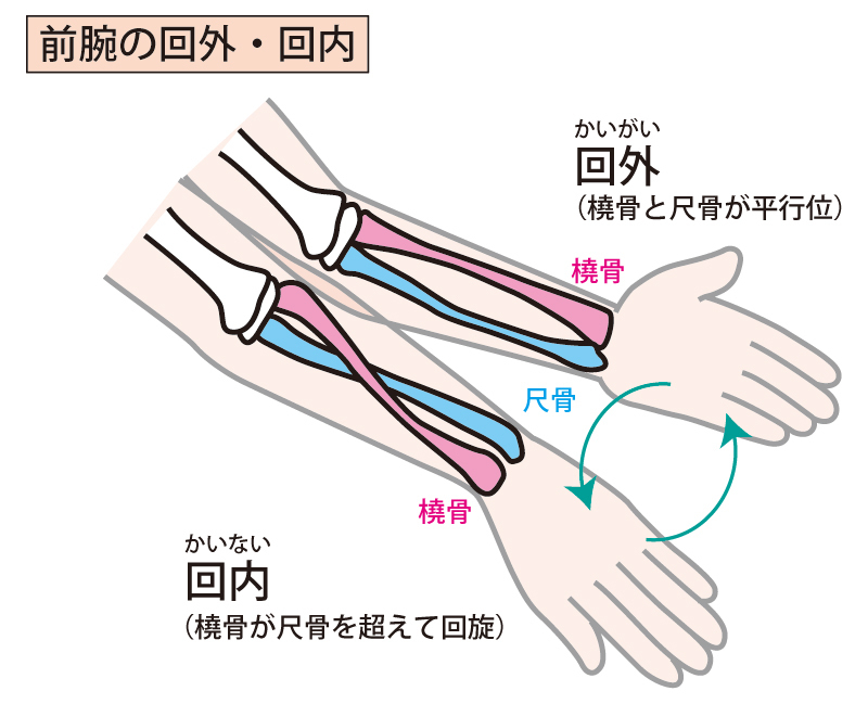 高槻　橋本鍼灸整骨院　テニス肘　ゴルフ肘　保険治療