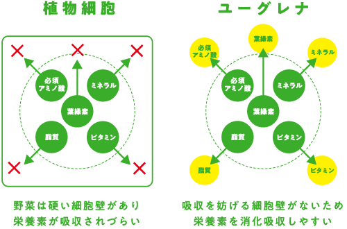 ユーグレナのちから