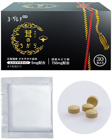 高槻　橋本鍼灸整骨院　茸のちから　記憶