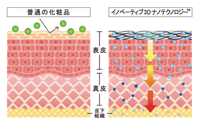 メソボディークリーム　セルライトケア