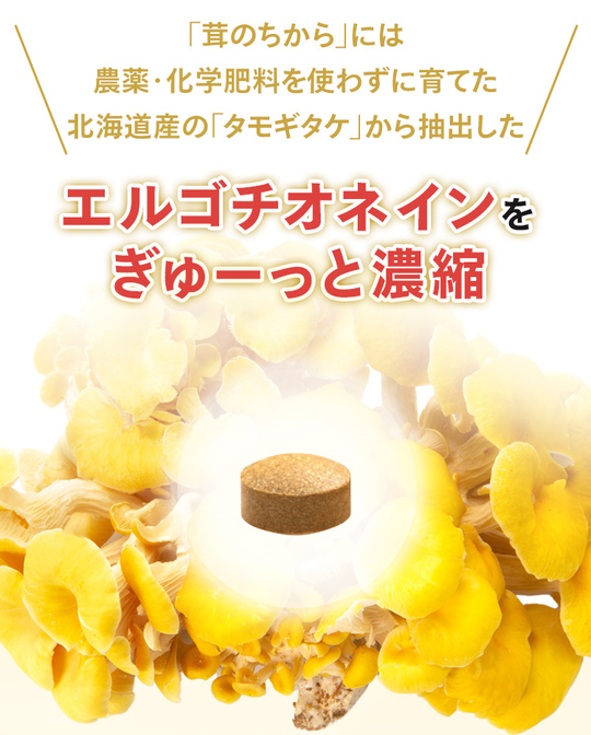 脳の健康と物忘れケアに｜茸（きのこ）のちから｜タモギダケ成分で 