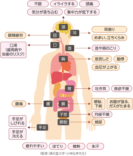 最新自律神経学 自律神経の測定について | あすなろ鍼灸院